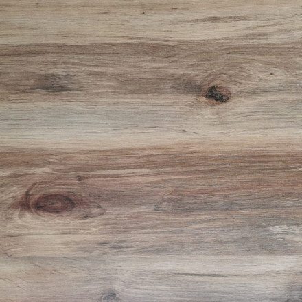 Береза Сандал (Срез Дерева) HPL 