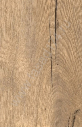 Кухня «Дуб Галифакс натур СС 8177»