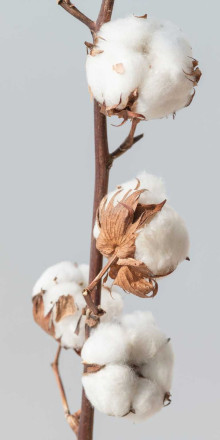 Кухня «Cotton Matt »